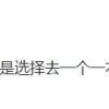我是一名专科生，请问自考本科和专升本有什么区别，各自的社会认可度怎么样？