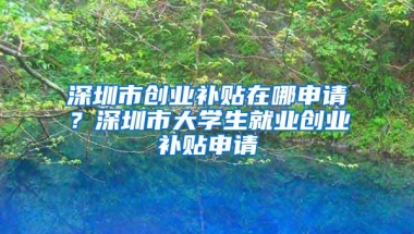 深圳市创业补贴在哪申请？深圳市大学生就业创业补贴申请