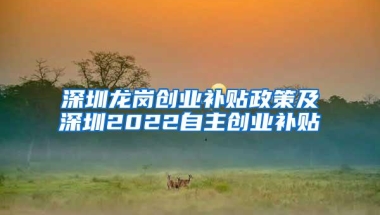 深圳龙岗创业补贴政策及深圳2022自主创业补贴