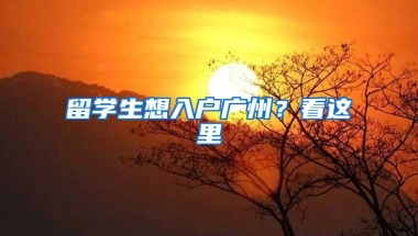 留学生想入户广州？看这里