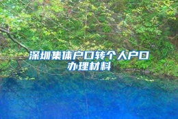 深圳集体户口转个人户口办理材料