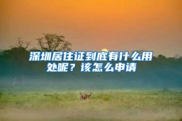 深圳居住证到底有什么用处呢？该怎么申请