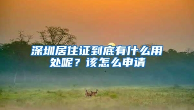 深圳居住证到底有什么用处呢？该怎么申请