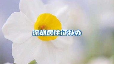 深圳居住证补办