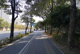 深度披露：调干入户深圳商调函全攻略！