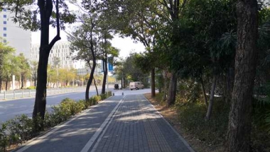 深度披露：调干入户深圳商调函全攻略！