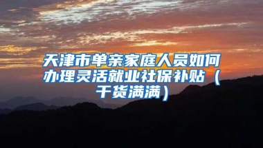 天津市单亲家庭人员如何办理灵活就业社保补贴（干货满满）