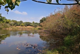 速速收藏！2022深圳入户申请留学技巧都为你整理好了！