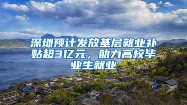 深圳预计发放基层就业补贴超3亿元，助力高校毕业生就业