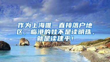 作为上海唯一直接落户地区，临港的娃不是读明珠，就是读建平！
