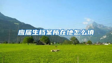 应届生档案所在地怎么填