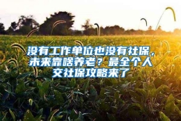 没有工作单位也没有社保，未来靠啥养老？最全个人交社保攻略来了