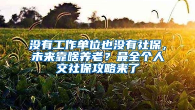 没有工作单位也没有社保，未来靠啥养老？最全个人交社保攻略来了