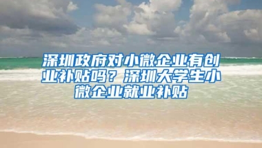 深圳政府对小微企业有创业补贴吗？深圳大学生小微企业就业补贴