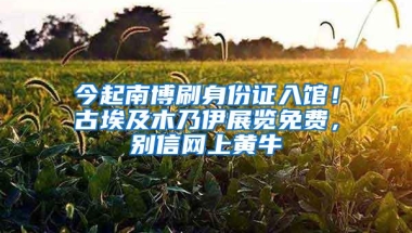 今起南博刷身份证入馆！古埃及木乃伊展览免费，别信网上黄牛