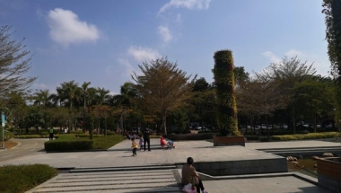 初级职称深圳积分入户你还不会轻松应对？实操讲解