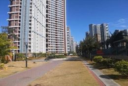 为什么说深圳落户集体户口可以吗越来越简单了？