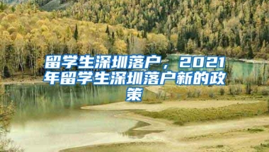 留学生深圳落户，2021年留学生深圳落户新的政策