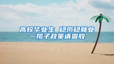 高校毕业生 稳岗稳就业一揽子政策请查收