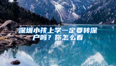 深圳小孩上学一定要转深户吗？你怎么看