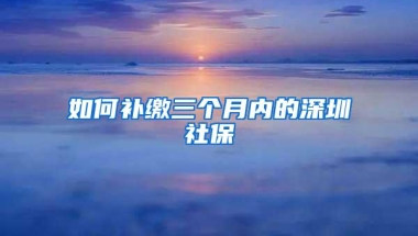 如何补缴三个月内的深圳社保