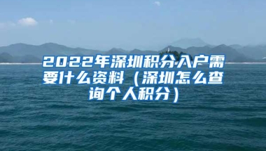 2022年深圳积分入户需要什么资料（深圳怎么查询个人积分）