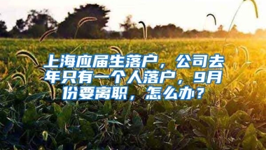 上海应届生落户，公司去年只有一个人落户，9月份要离职，怎么办？