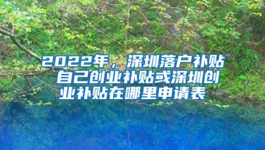 2022年，深圳落户补贴 自己创业补贴或深圳创业补贴在哪里申请表
