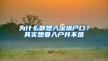 为什么都想入深圳户口？其实想要入户并不难