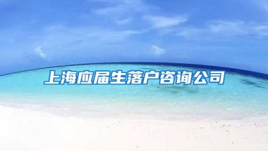 上海应届生落户咨询公司