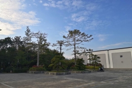 如何实现轻松解决深圳集体户口小孩落户？