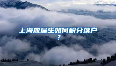 上海应届生如何积分落户？