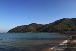 你知道深圳集体户口和亲戚挂靠什么区别问题是如何解决的吗？