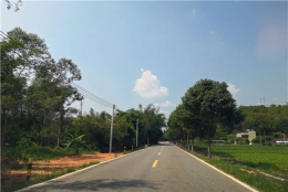 深圳有关集体户口指南！