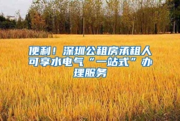 便利！深圳公租房承租人可享水电气“一站式”办理服务