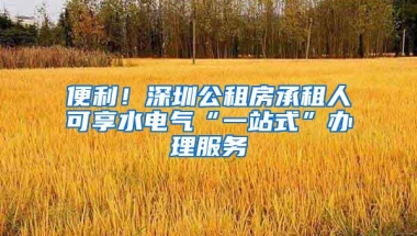 便利！深圳公租房承租人可享水电气“一站式”办理服务