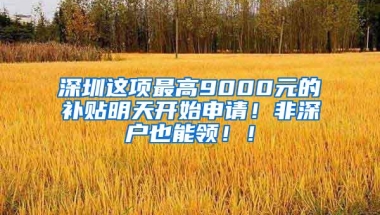 深圳这项最高9000元的补贴明天开始申请！非深户也能领！！