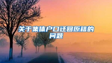 关于集体户口迁回原籍的问题