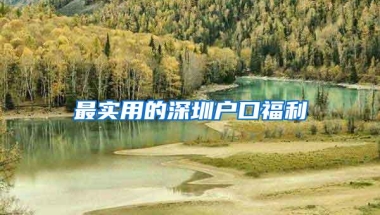 最实用的深圳户口福利