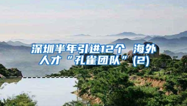 深圳半年引进12个 海外人才“孔雀团队”(2)