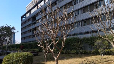 2022年深圳留学生落户常见问题汇总，现在清楚了吗？
