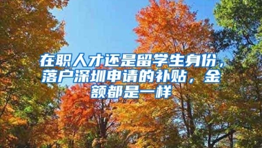 在职人才还是留学生身份，落户深圳申请的补贴，金额都是一样