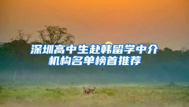 深圳高中生赴韩留学中介机构名单榜首推荐