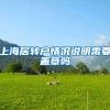 上海居转户情况说明需要盖章吗