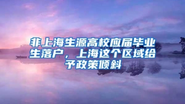 非上海生源高校应届毕业生落户，上海这个区域给予政策倾斜