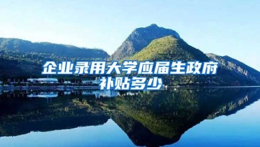 企业录用大学应届生政府补贴多少