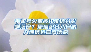 手机号欠费被扣征信分影响落户？深圳积分入户纳入通信运营商信息