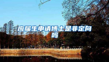 应届生申请博士是非定向吗