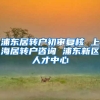 浦东居转户初审复核 上海居转户咨询 浦东新区人才中心