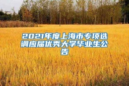 2021年度上海市专项选调应届优秀大学毕业生公告